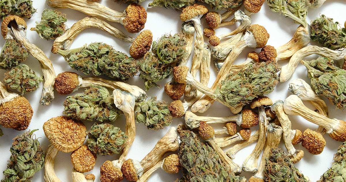Are Psychedelics Legal In Las Vegas? | Garrett T. Ogata